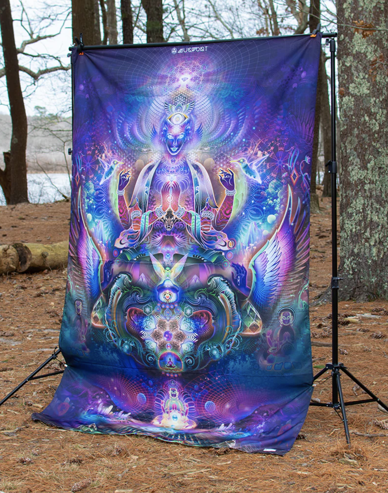 ** Freestyle backdrop tapestry 60x90 inches